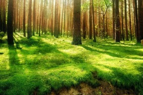 世界登山青年导师年度培养成效统计表公开，世界登山队排名